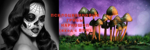 ешки Алексеевка