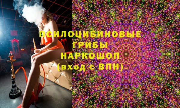 spice Абаза