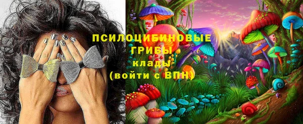 ешки Алексеевка