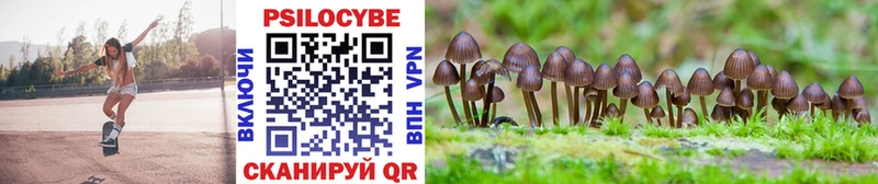 сколько стоит  Белебей  Псилоцибиновые грибы MAGIC MUSHROOMS 